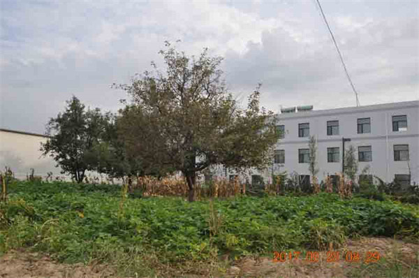 廠區(qū)展示實(shí)拍